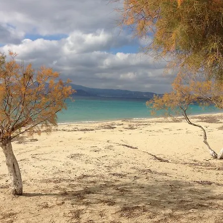 Pigasos Pensionat Agios Prokopios (Naxos)