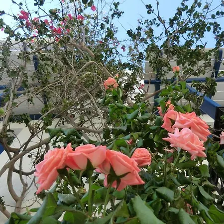 Pigasos 2* Agios Prokopios (Naxos)